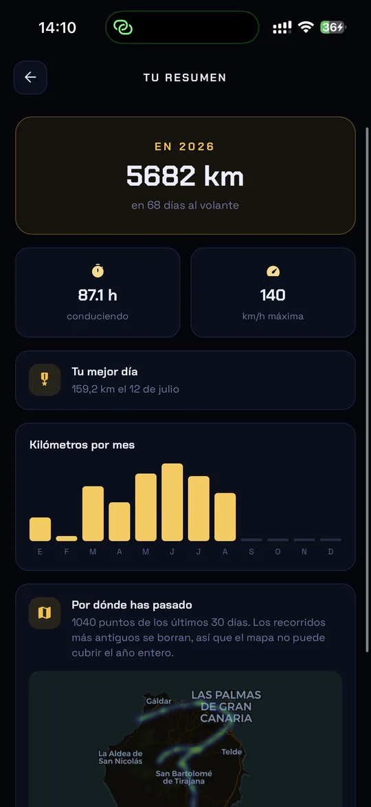 Resumen anual con kilómetros, horas al volante, mejor día y gráfico por meses